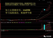 爱游戏足球体育-欧洲赛场收官之战，涨停的里尔期待全胜出线的简单介绍