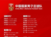 爱游戏体育官方入口-亚足联官宣！王钰栋落选，蒋圣龙崭露头角，国足与日韩差距显著