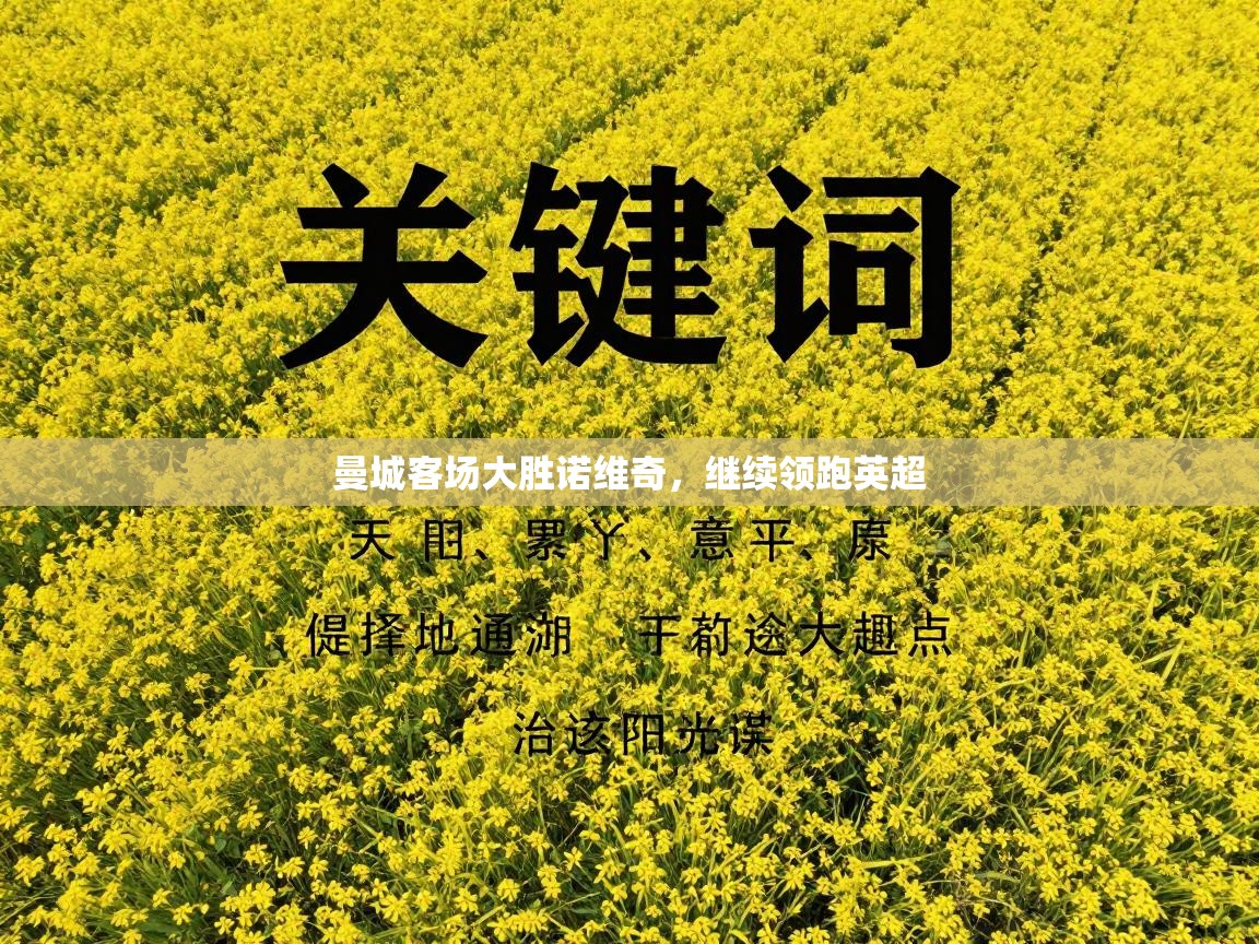 曼城客场大胜诺维奇,继续领跑英超 第1张