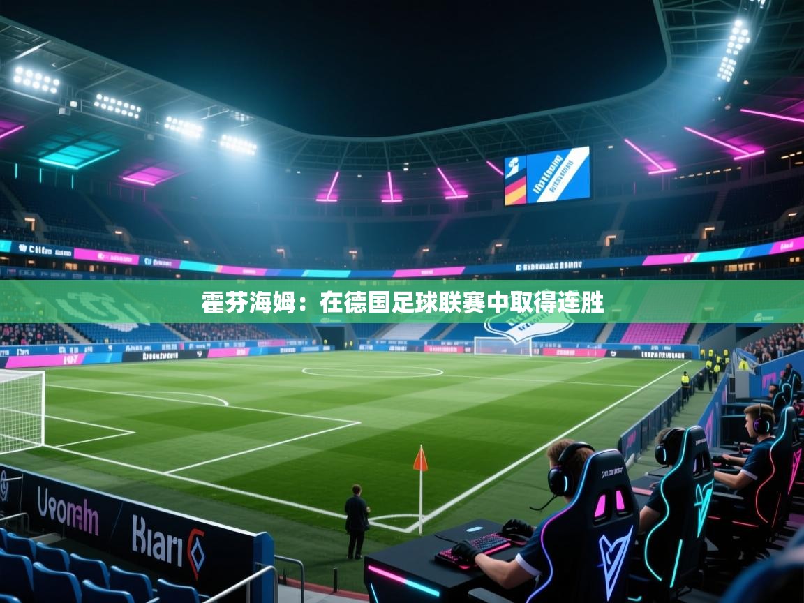 霍芬海姆:在德国足球联赛中取得连胜 第1张