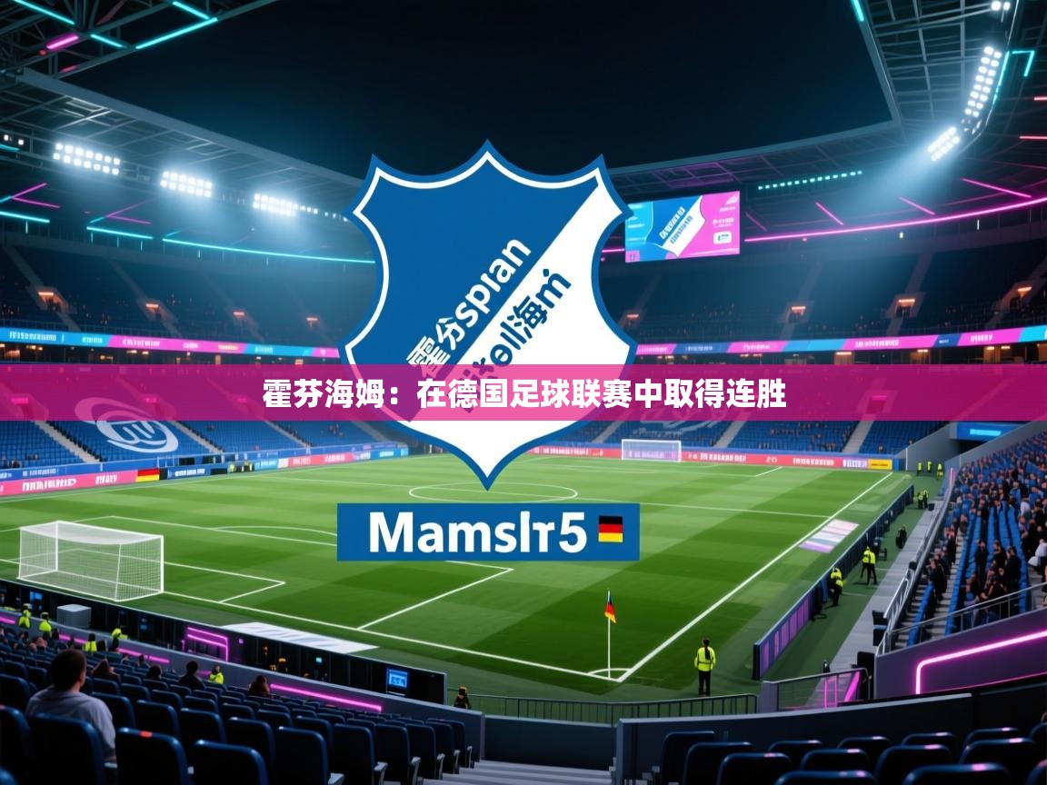 霍芬海姆:在德国足球联赛中取得连胜 第2张