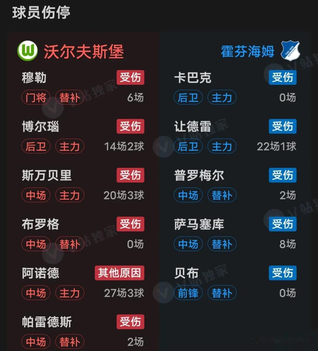 霍芬海姆球员表现出色队长领衔攻势